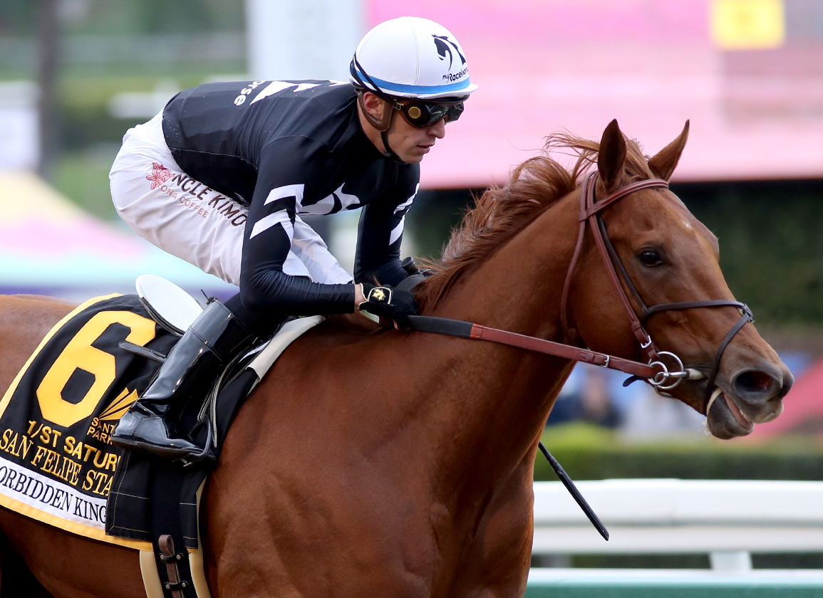 Why You Should Not Invest in MyRaceHorse: Hidden Risks